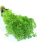 chervil-uses