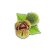 chestnuts-facts