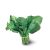 chinese-broccoli-nutritional-value
