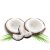 coconut-nutritional-values