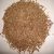 dill-seed-uses
