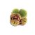 edible-chinese-chestnut