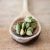 ethiopian-cardamom-benefits
