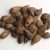 ethiopian-cardamom-seeds