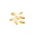 fanciest-nut