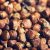 grains-of-paradise-benefits