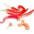 hot-chile-peppers