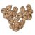 japanese-walnut