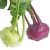 purple-kohlrabi