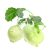 fresh-kohlrabi