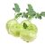 kohlrabi
