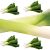 leek-stem