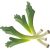 green-leek-flake
