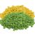 green-split-lentils-