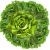 iceberg-lettuce