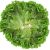 lettuce-leaf