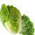 salad-greens