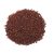 mustard-seeds
