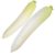 green-top-radish