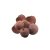 red-areca-nuts