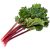 rhubarb-leaves