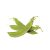 snow-peas-nutritional-value
