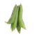 sponge-gourd-increases-the-iron-level