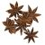star-anise