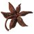 star-anise-health-benefits