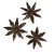 star-anise-nutritional-facts