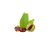 sweet-chestnut