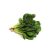 tatsoi-uses