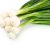welsh-onion-nutritional-value