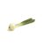welsh-onion-properties