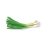 welsh-onion-uses