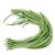 yardlong-bean-seeds