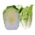 yellow-chinese-cabbage